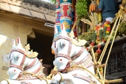 devotee pulling a cart